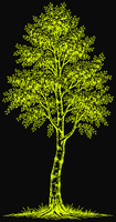 Grunn Studio tree logo